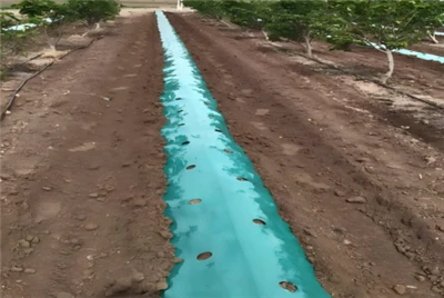 Мульча Green Plustic